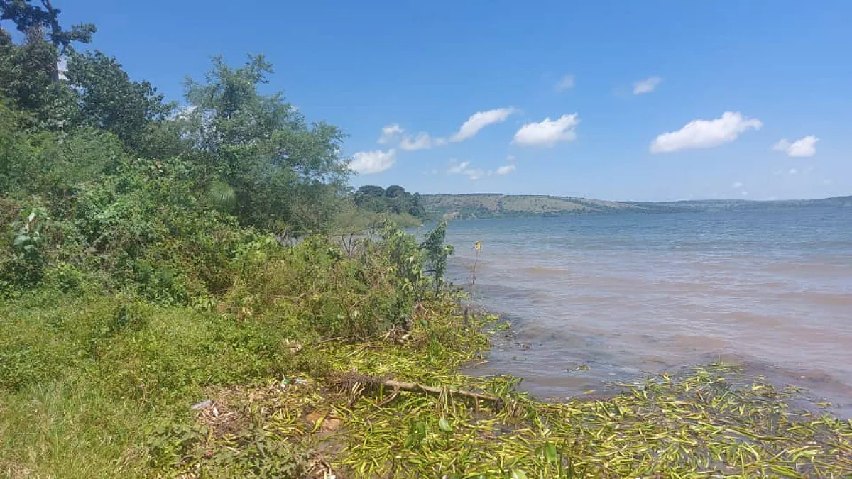 10 acres of Land for Sale